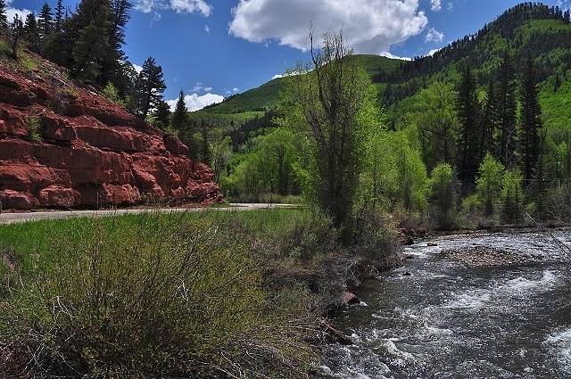 the Dolores River